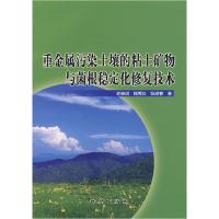 11重金属污染土壤的粘土矿物与菌根稳定化修复技术9787116048911