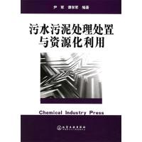 11污水污泥处理处置与资源化利用9787502562793LL