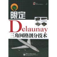 11限定Delaunay三角网格剖分技术9787121016271LL