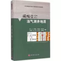 11碳酸盐岩油气测井地质9787030438300LL