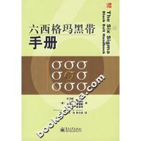 11六西格玛黑带手册9787121039171LL