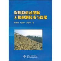 11堤坝隐患及渗漏无损检测技术与仪器9787508476681LL