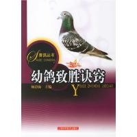 11幼鸽致胜诀窍9787532385836LL