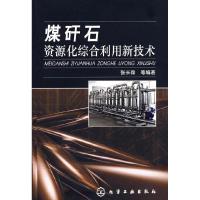 11煤矸石资源化综合利用新技术9787122019509LL