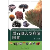 11黑石顶大型真菌图鉴9787306038319LL