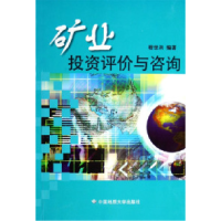 11矿业投资评价与咨询9787562520542LL
