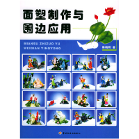 11面塑制作与围边应用9787501946624LL