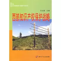 11西部知识产权保护战略9787801986955LL