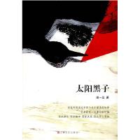 11太阳黑子9787532138142LL