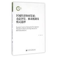 11区域经济协同发展--动态评估驱动机制及模式选择9787509796382