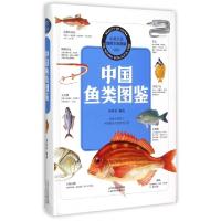 11中国鱼类图鉴/中国之美自然生态图鉴9787537750257LL