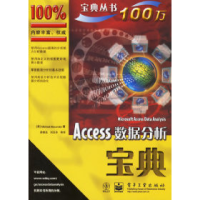 11Access数据分析宝典9787121030864LL