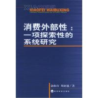 11消费外部性:一项探索性的系统研究9787505851672LL