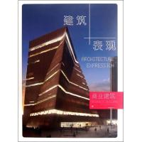 11商业建筑.建筑+表现19787503865831LL