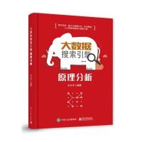 11大数据搜索引擎原理分析9787121352454LL