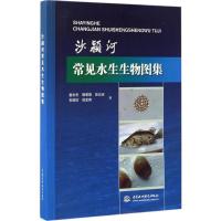 11沙颍河常见水生生物图集9787517049524LL