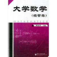11大学数学(经管类)9787121037290LL