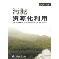 11污泥资源化利用9787811253443LL