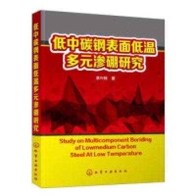 11低中碳钢表面低温多元渗硼研究(袁兴栋)9787122255822LL