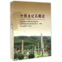 11世界木化石概论(精)9787116080713LL