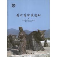 11黄河蒲津渡遗址9787030367655LL