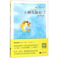 11小鲤鱼跳龙门(金近童话精选注音版)/引读者9787559426291LL