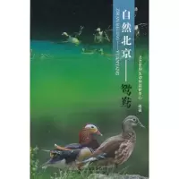 11自然北京——鸳鸯9787200085921LL
