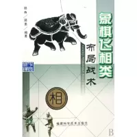 11象棋飞相类布局战术9787533531928LL