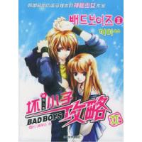 11坏小子攻略II9787509000052LL