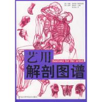 11艺用解剖图谱(图文版)9787538856224LL