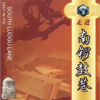 11走进南锣鼓巷(中、英文对照)9787540217495LL