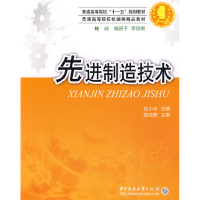 11先进制造技术9787560955780LL