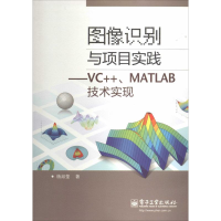 11图像识别与项目实践-VC++.MATLAB技术实现9787121229664LL