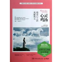 11路过心上的美丽英文/心灵鸡汤9787540466411LL