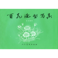 11百花造型写真9787102021379LL