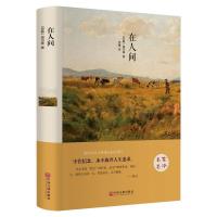 11世界名著:在人间9787519005764LL
