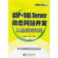 11ASP+SQLServer动态网站开发从基础到实践9787121015311LL