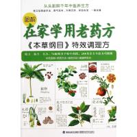 11图解在家学用老药方(本草纲目特效调理方)9787533540982LL