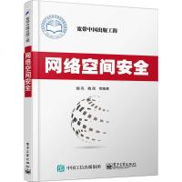 11网络空间安全9787121276156LL