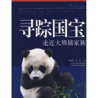 11寻踪国宝9787534560651LL