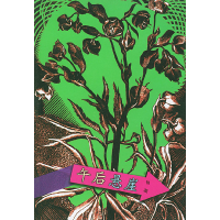 11镜子里的城市--午后悬崖9787806730874LL