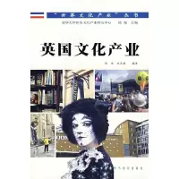 11英国文化产业9787560065366LL