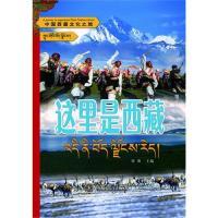 11中国西藏文化之旅--这里是西藏9787500083573LL