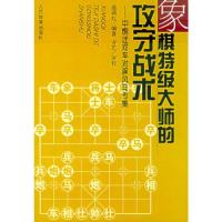 11象棋特级大师的攻守战术.中炮过河车对屏风马专集9787500924111