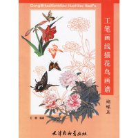 11工笔画线描花鸟画谱·蝴蝶篇9787807381174LL