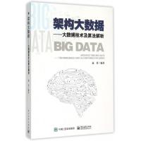 11架构大数据--大数据技术及算法解析9787121259784LL