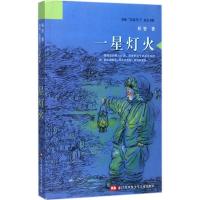 11祁智"芝麻开门"成长书系?一星灯火9787558401152LL