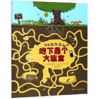 11地下是个大迷宫(精)/就是出不去9787537594844LL