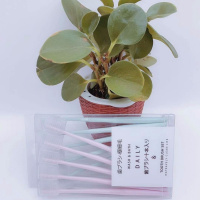 10支装(粉色+绿色)情侣完美套装 纳米牙刷成人家庭装软毛细丝细毛高档学生10支家用成年人批发价[3月13日发完]