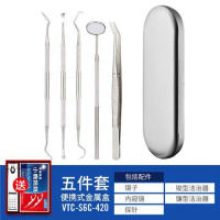 银盒五件套 牙结石去除器洗牙石清除牙垢刮洁牙医口腔工具家用剔牙齿清器